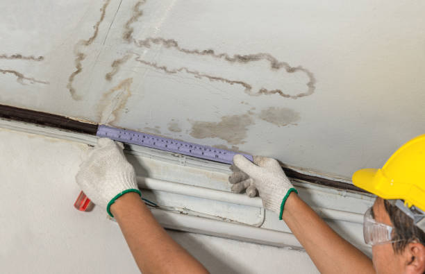 Reliable Mold Remediation contractor in Burton, TX by Water Damage Irwin